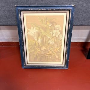 Vintage Botanical Print of a Death's-head Hawkmoth and Datura Flowers by F. W. Frohawk