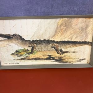 The Crocodile - Antique Watercolor Illustration